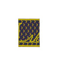 Lanvin Blue Silk Women's Scarf