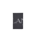 Lanvin Gray Silk Women's Scarf