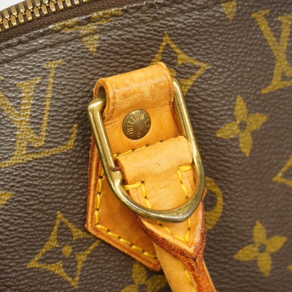 Louis Vuitton Brown Handbag (Pre-Owned)