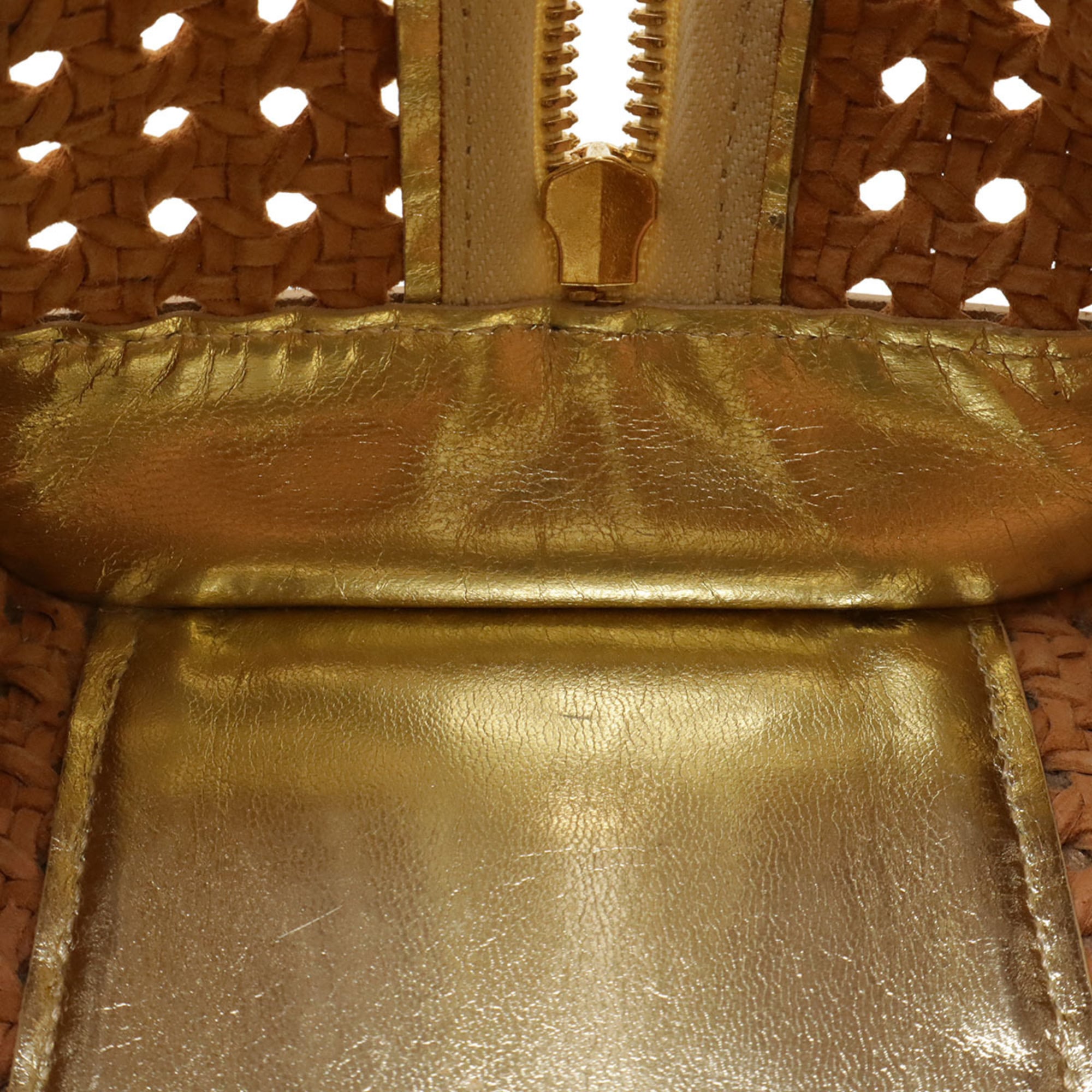 Loewe Amazona Gold Metallic Leather Handbag (Pre-Owned)