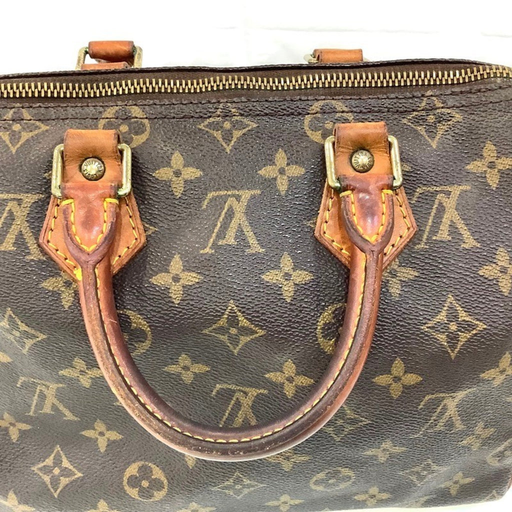 Louis Vuitton Brown Pvc Handbag (Pre-Owned)