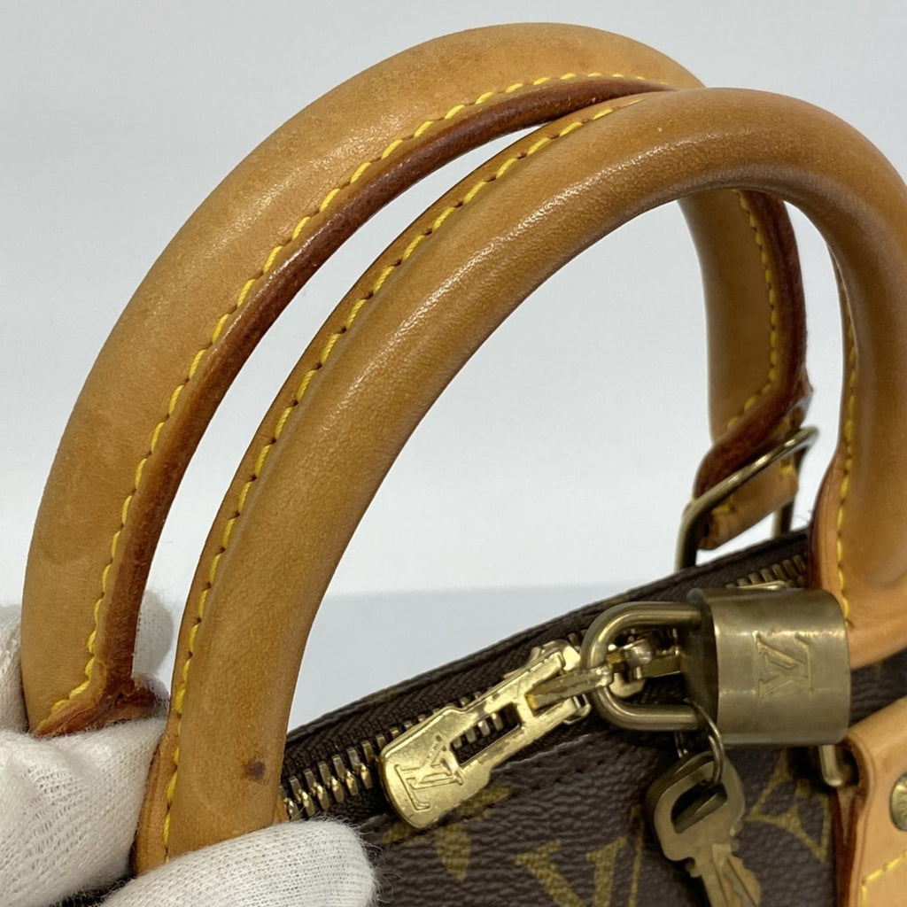 Louis Vuitton Brown Handbag (Pre-Owned)