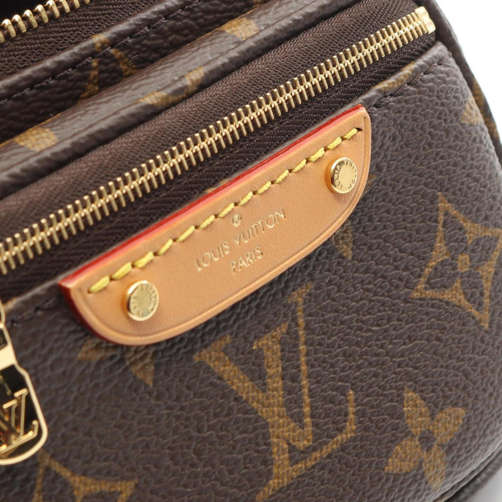 Louis Vuitton Brown Monogram Coated Canvas Leather Handbag (Pre-Owned)