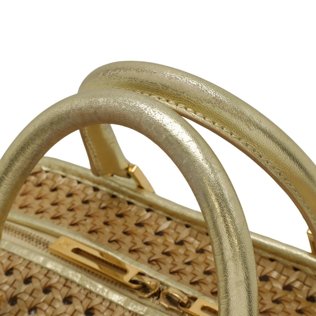 Loewe Amazona Gold Metallic Leather Handbag (Pre-Owned)