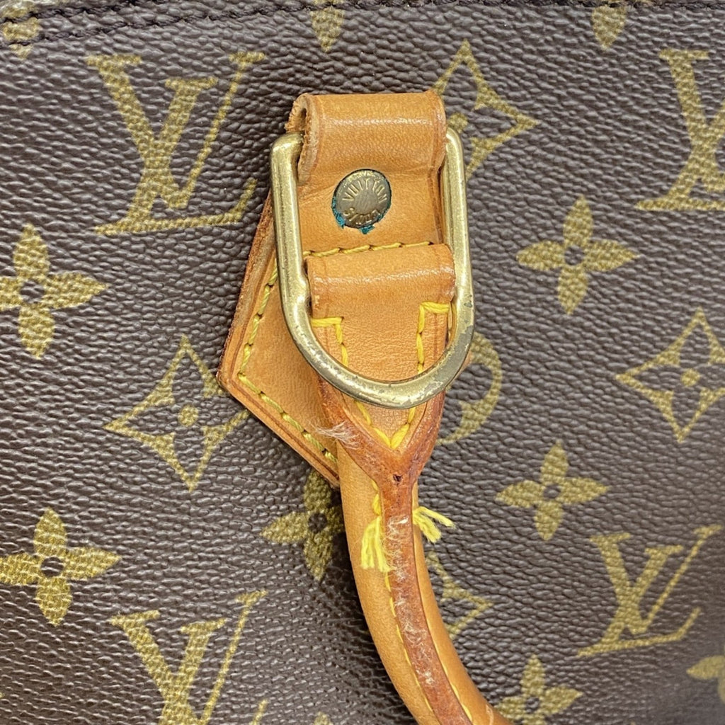 Louis Vuitton Brown Handbag (Pre-Owned)