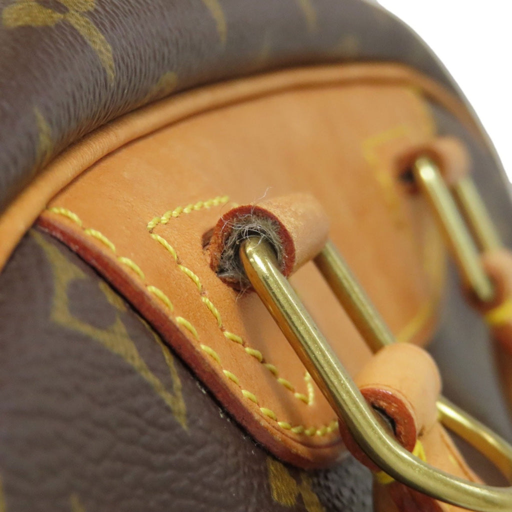 Louis Vuitton Monogram Monogram Handbag (Pre-Owned)