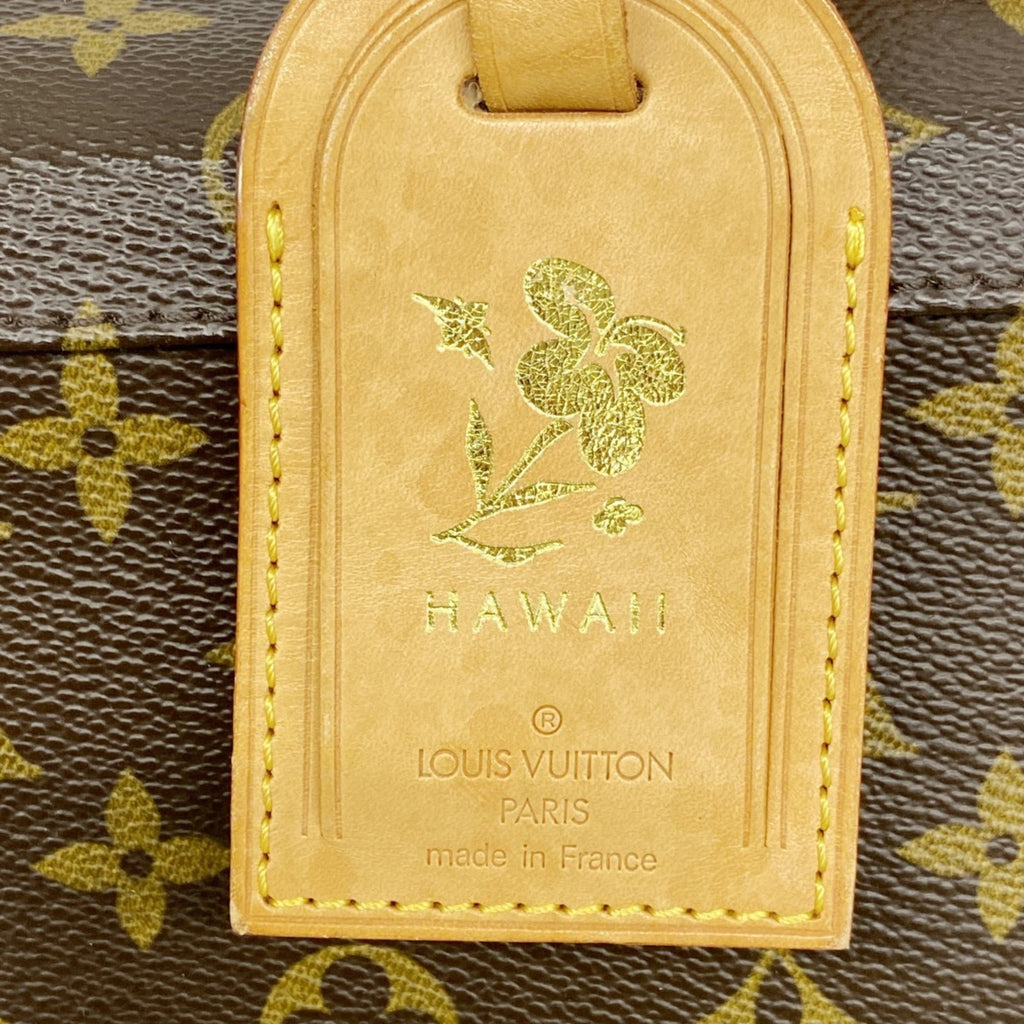 Louis Vuitton Brown Garment Case (Pre-Owned)
