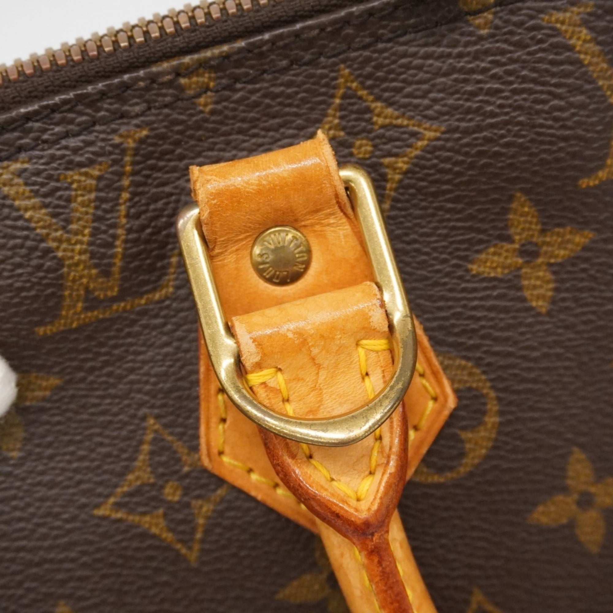 Louis Vuitton Brown Handbag (Pre-Owned)