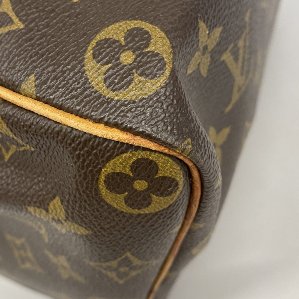 Louis Vuitton Brown Handbag (Pre-Owned)
