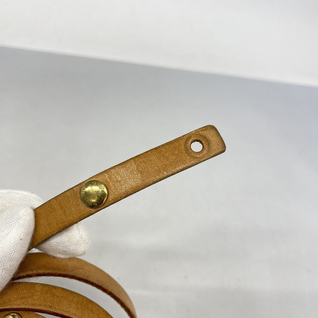 Louis Vuitton Brown Fanny Pack (Pre-Owned)