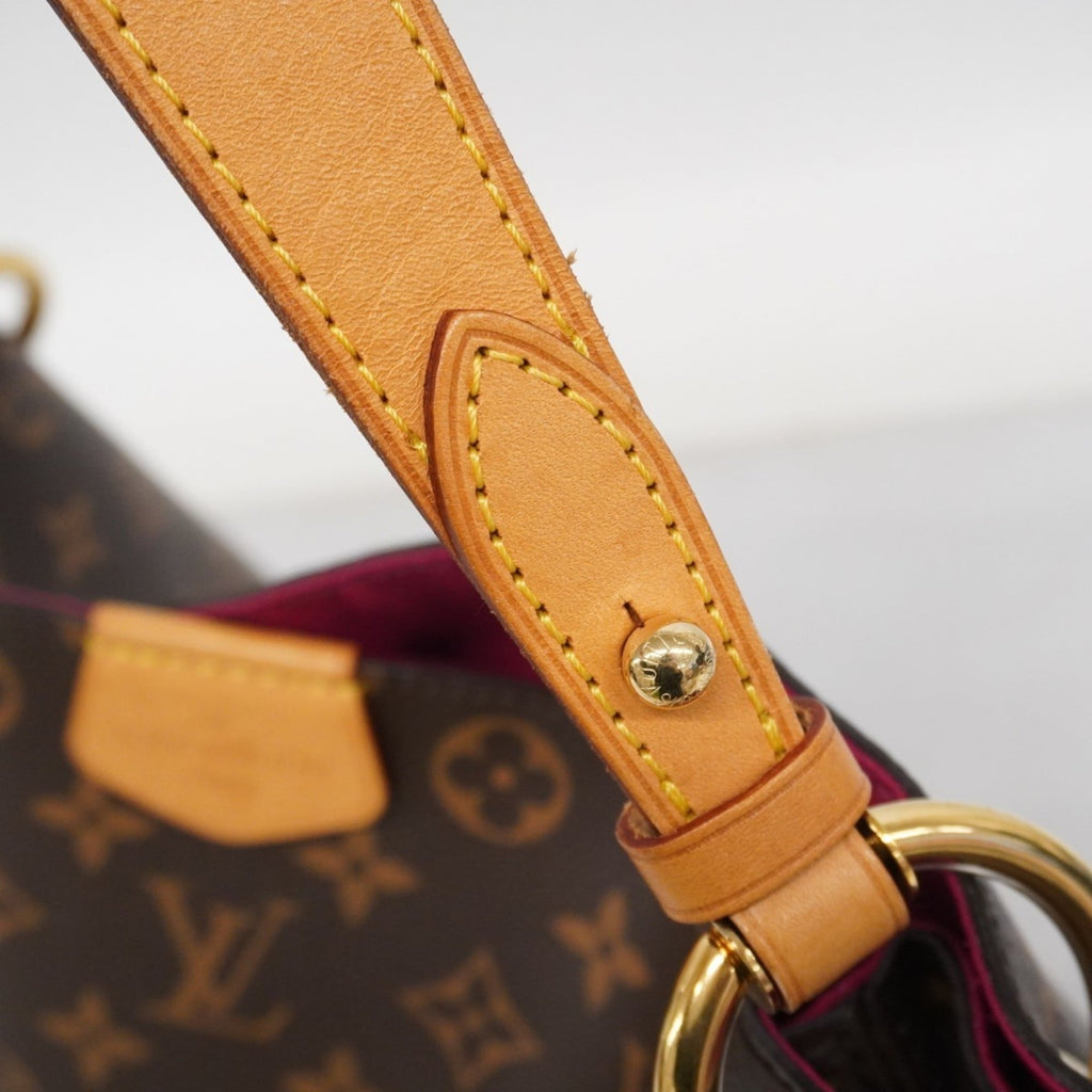 Louis Vuitton Brown Pivoine Shoulder Bag (Pre-Owned)