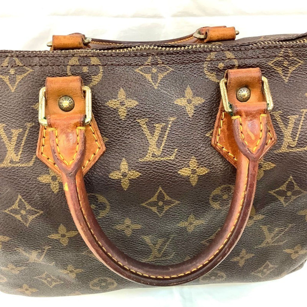 Louis Vuitton Brown Pvc Handbag (Pre-Owned)