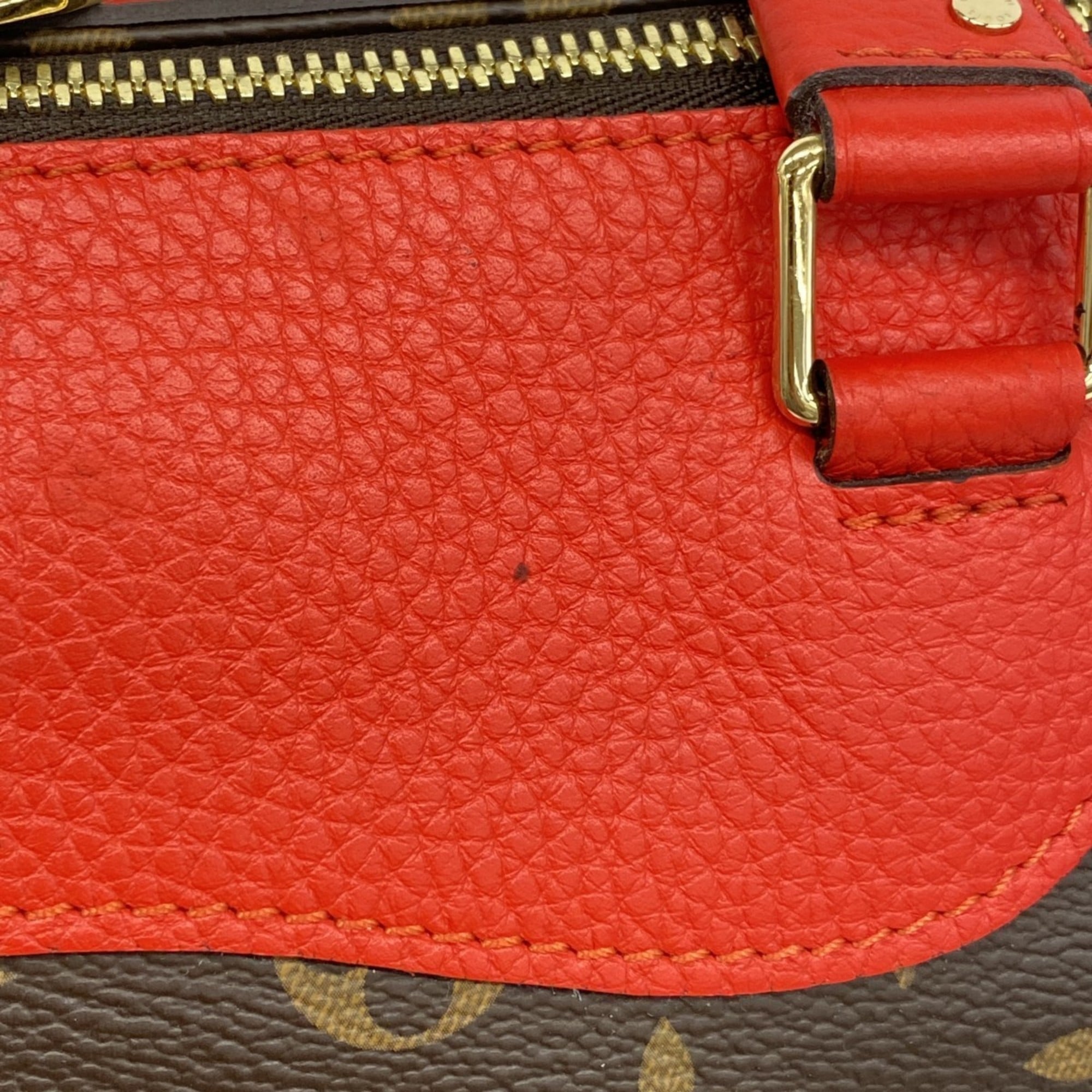 Louis Vuitton Coquelicots Handbag (Pre-Owned)