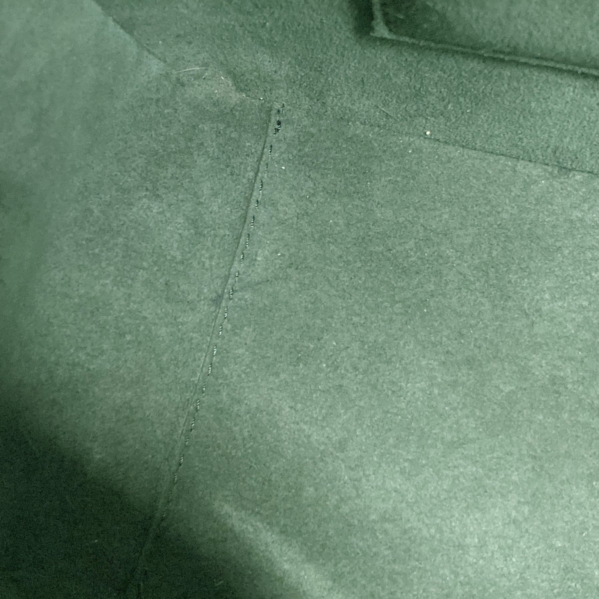 Louis Vuitton Borneo Green Handbag (Pre-Owned)