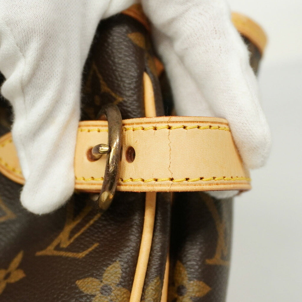 Louis Vuitton Brown Tote Bag (Pre-Owned)