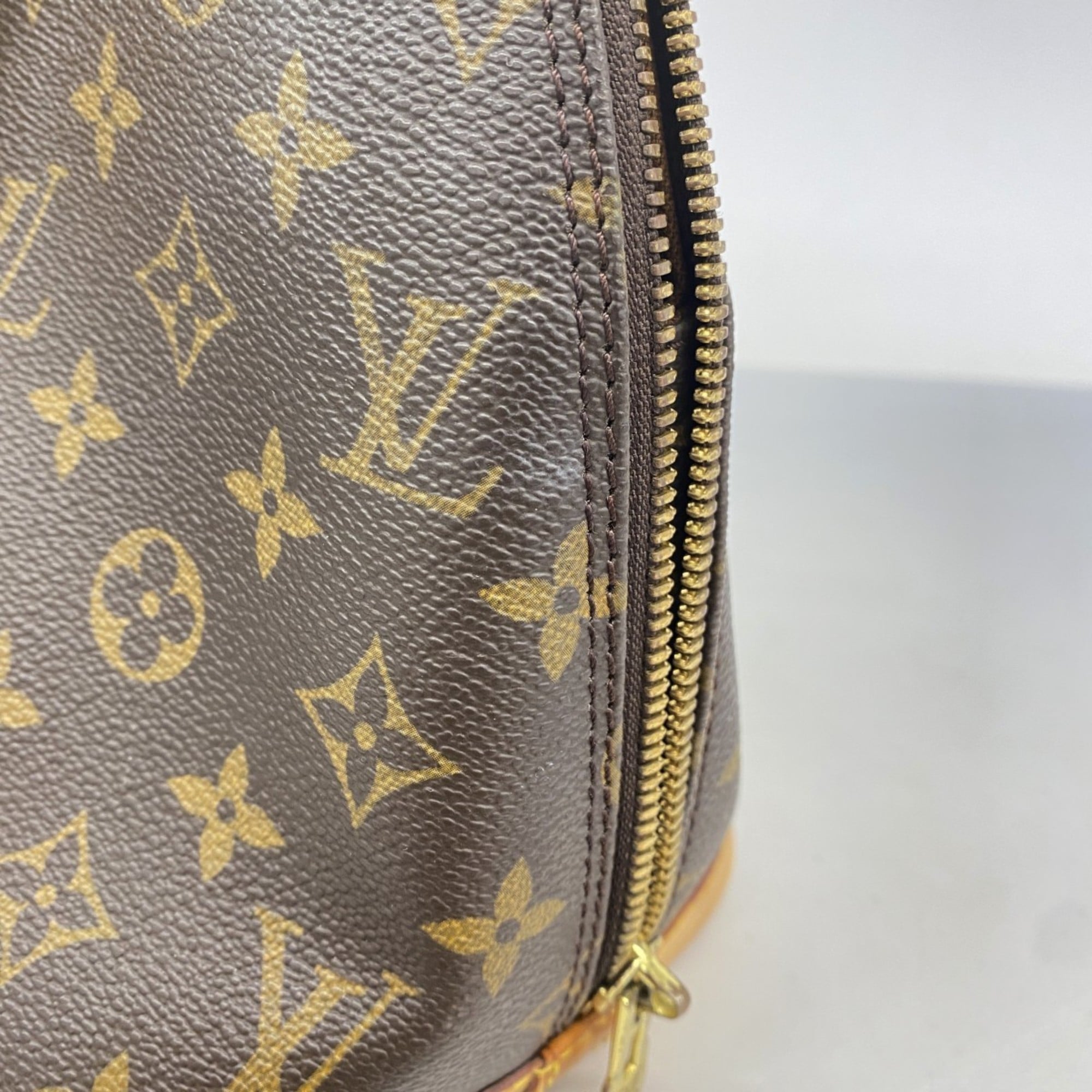 Louis Vuitton Brown Handbag (Pre-Owned)