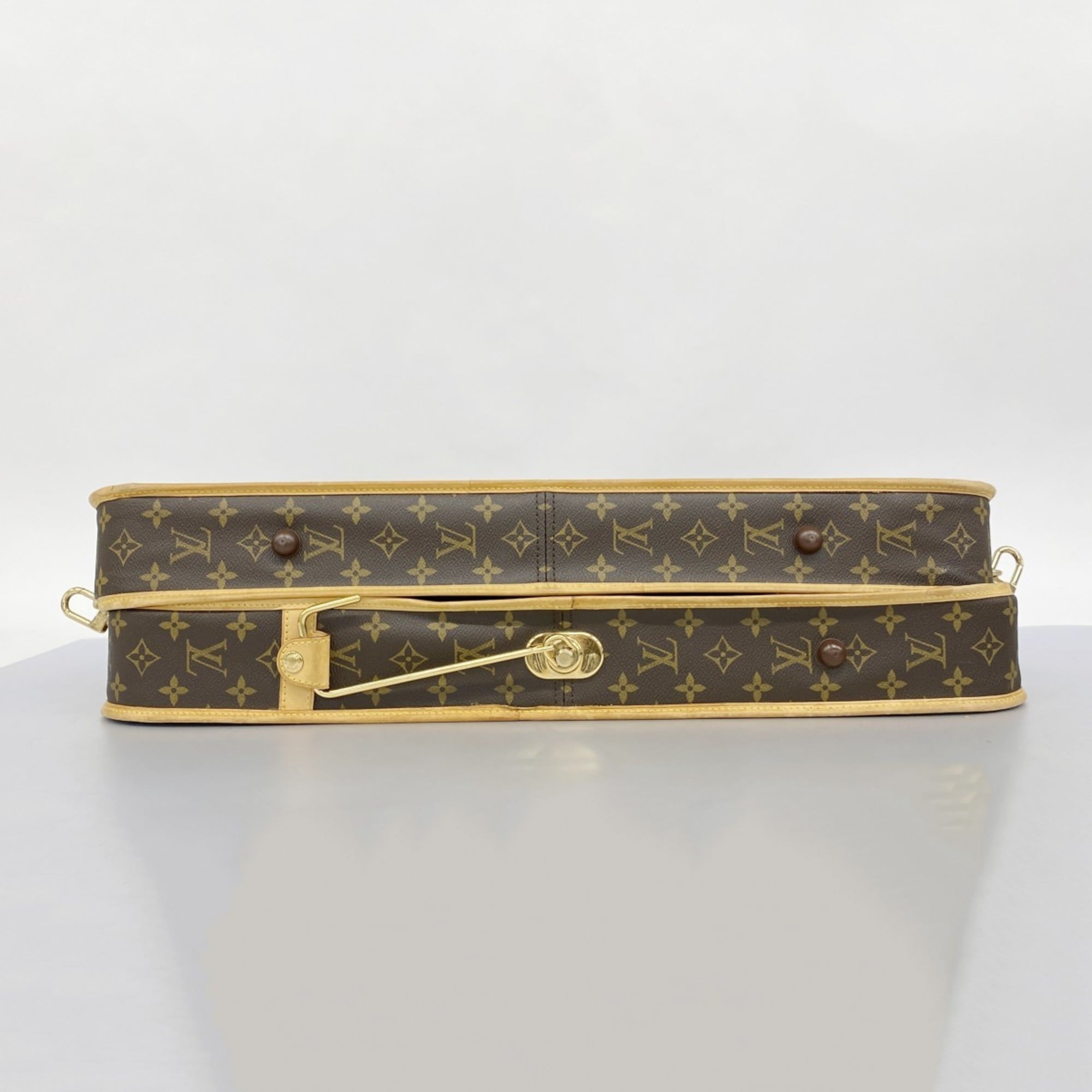 Louis Vuitton Brown Garment Case (Pre-Owned)