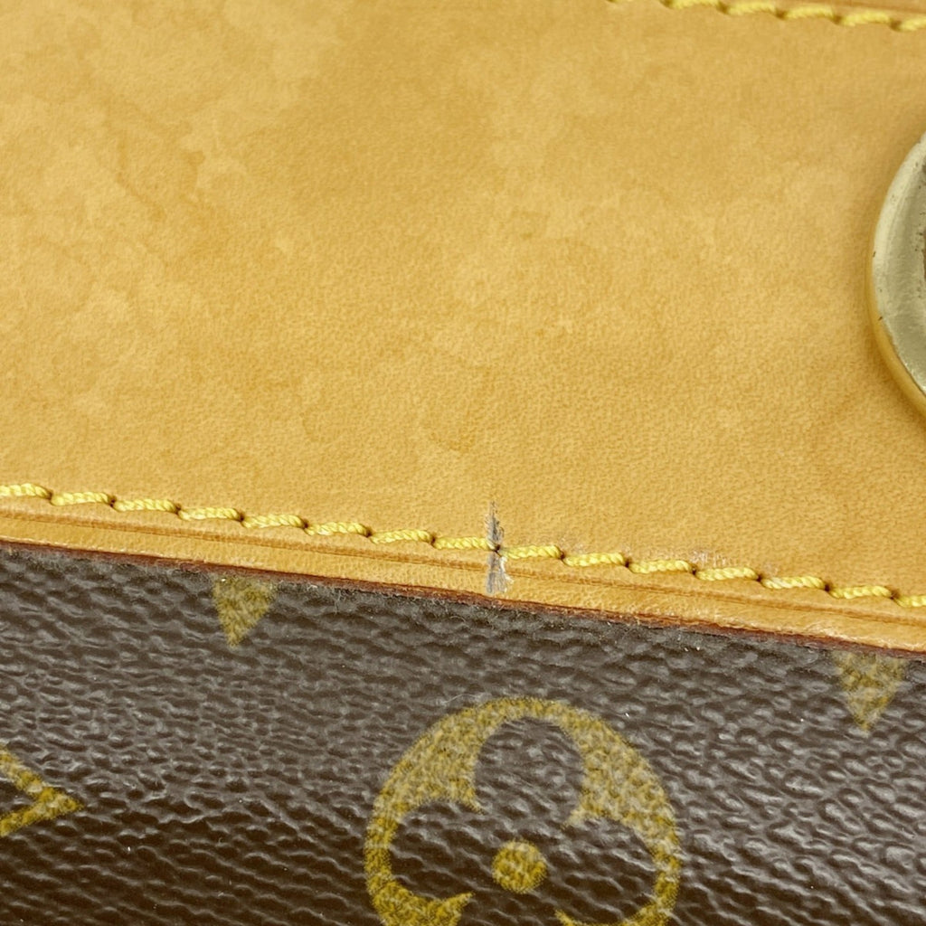 Louis Vuitton Brown Garment Case (Pre-Owned)