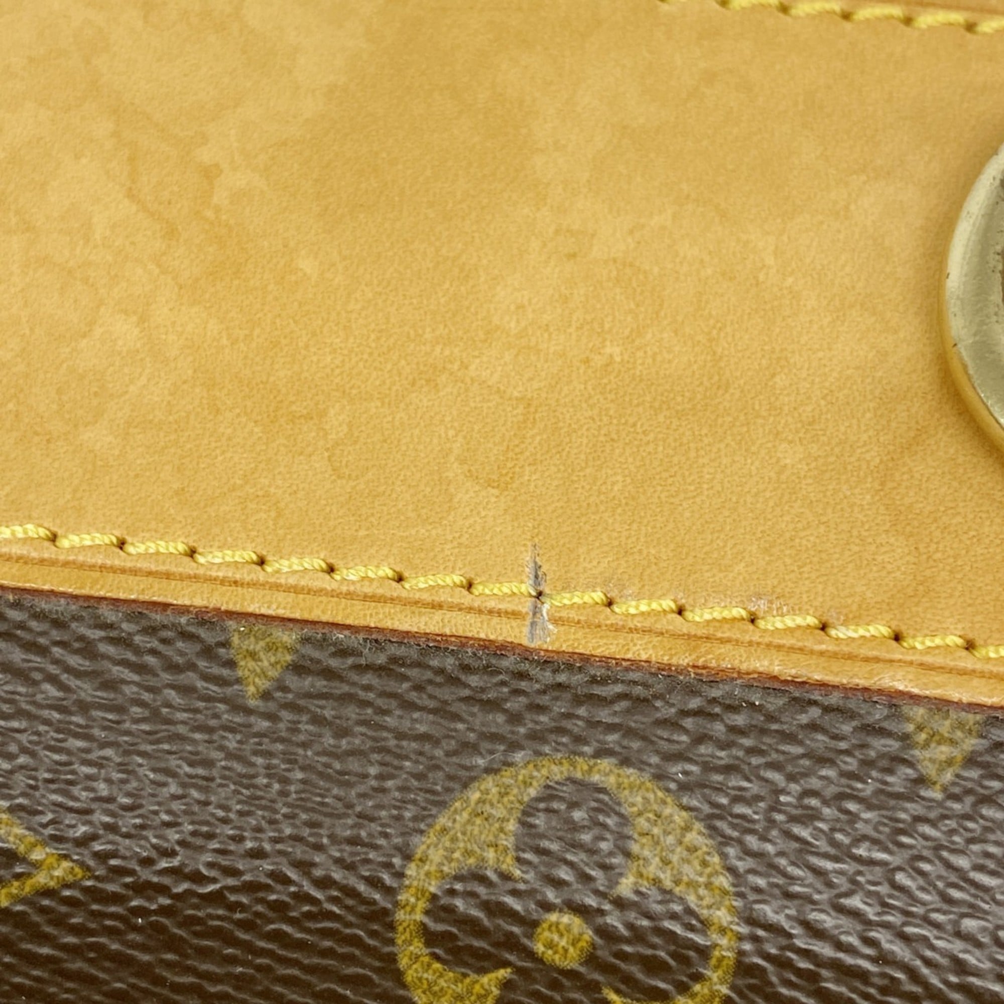 Louis Vuitton Brown Garment Case (Pre-Owned)