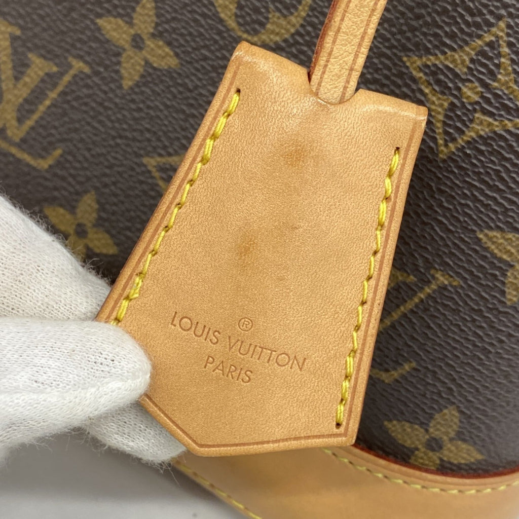 Louis Vuitton Brown Handbag (Pre-Owned)
