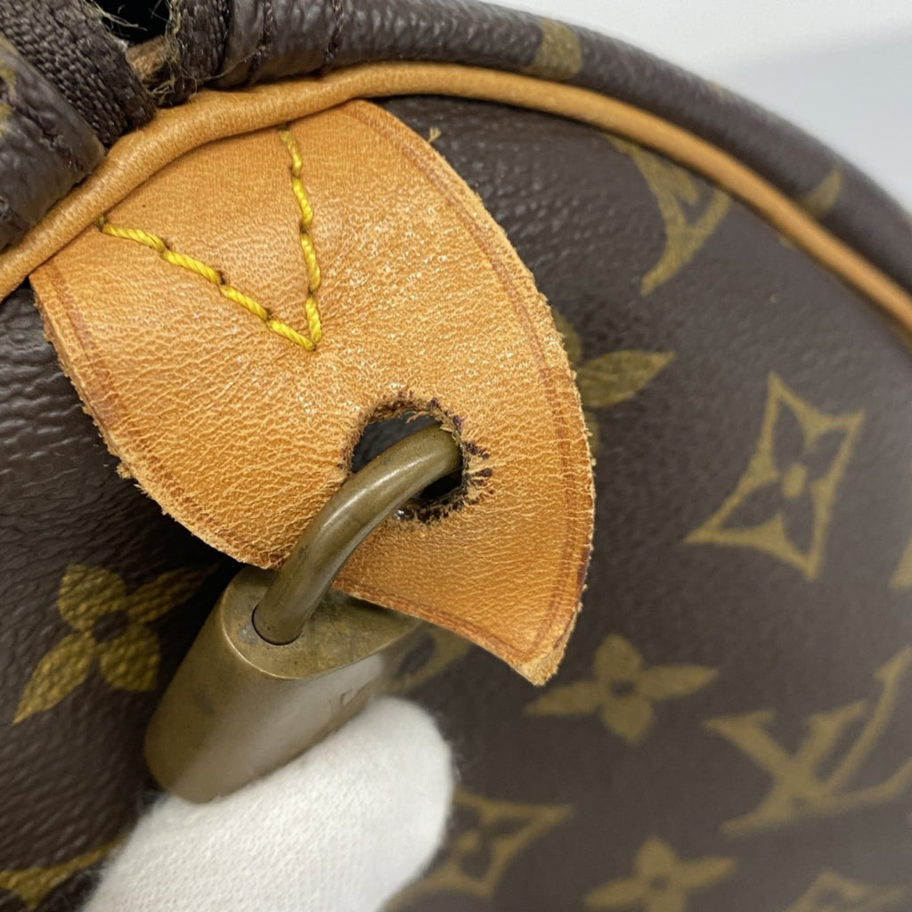 Louis Vuitton Brown Handbag (Pre-Owned)