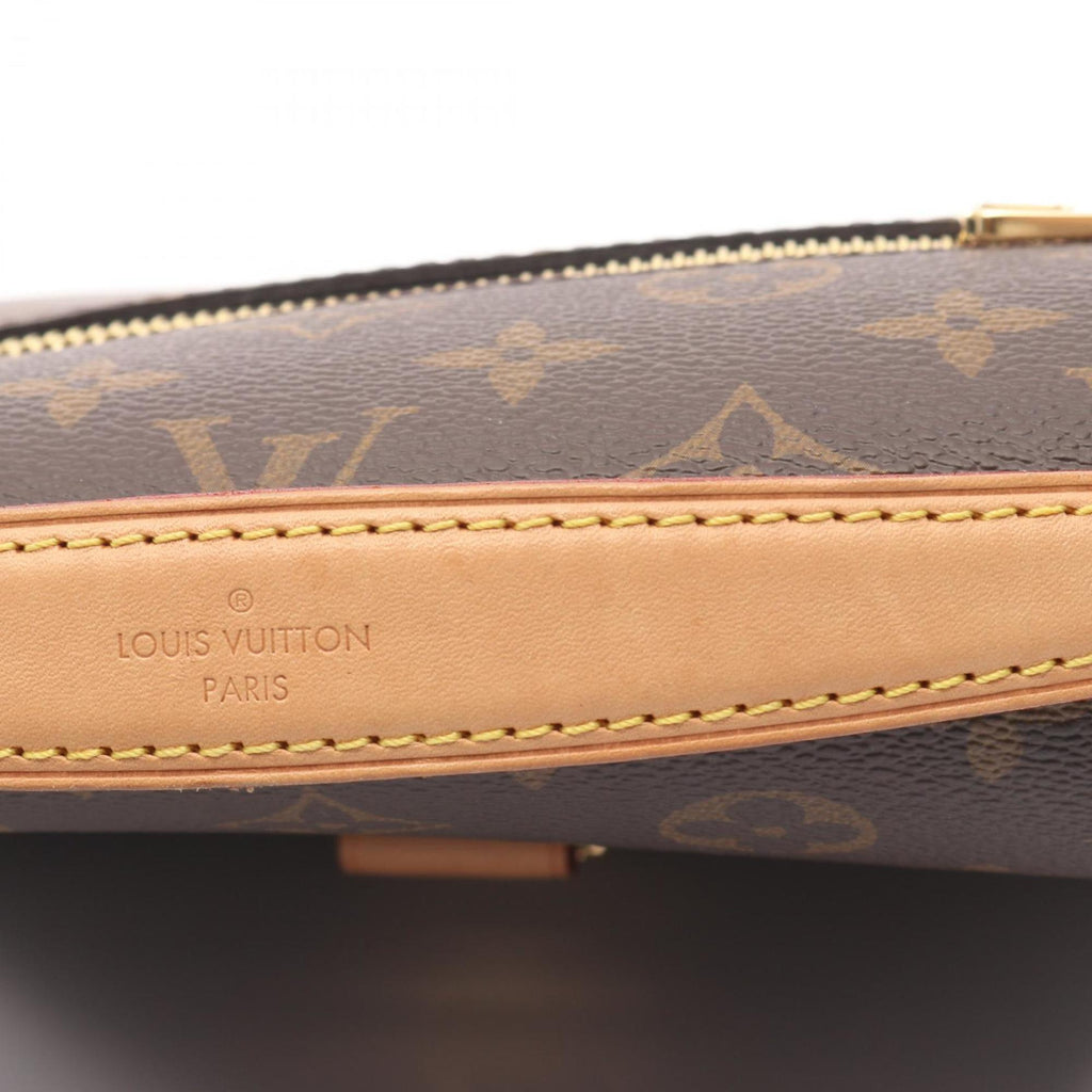 Louis Vuitton Brown Monogram Monogram Leather Handbag Pochette (Pre-Owned)