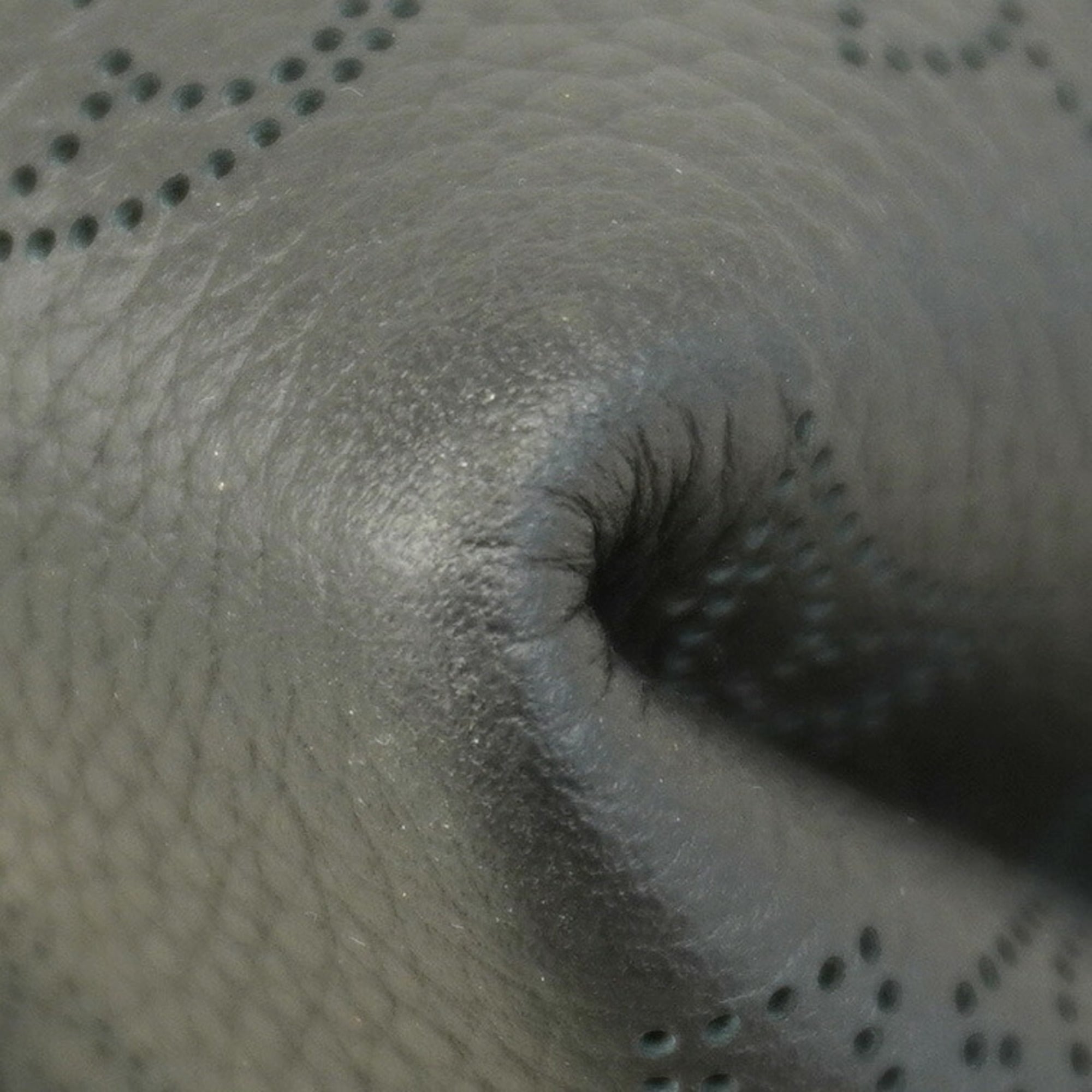 Louis Vuitton Noir Handbag (Pre-Owned)