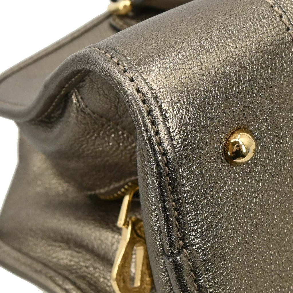 Loewe Amazona Bag Leather Gold Leather Handbag (Pre-Owned)
