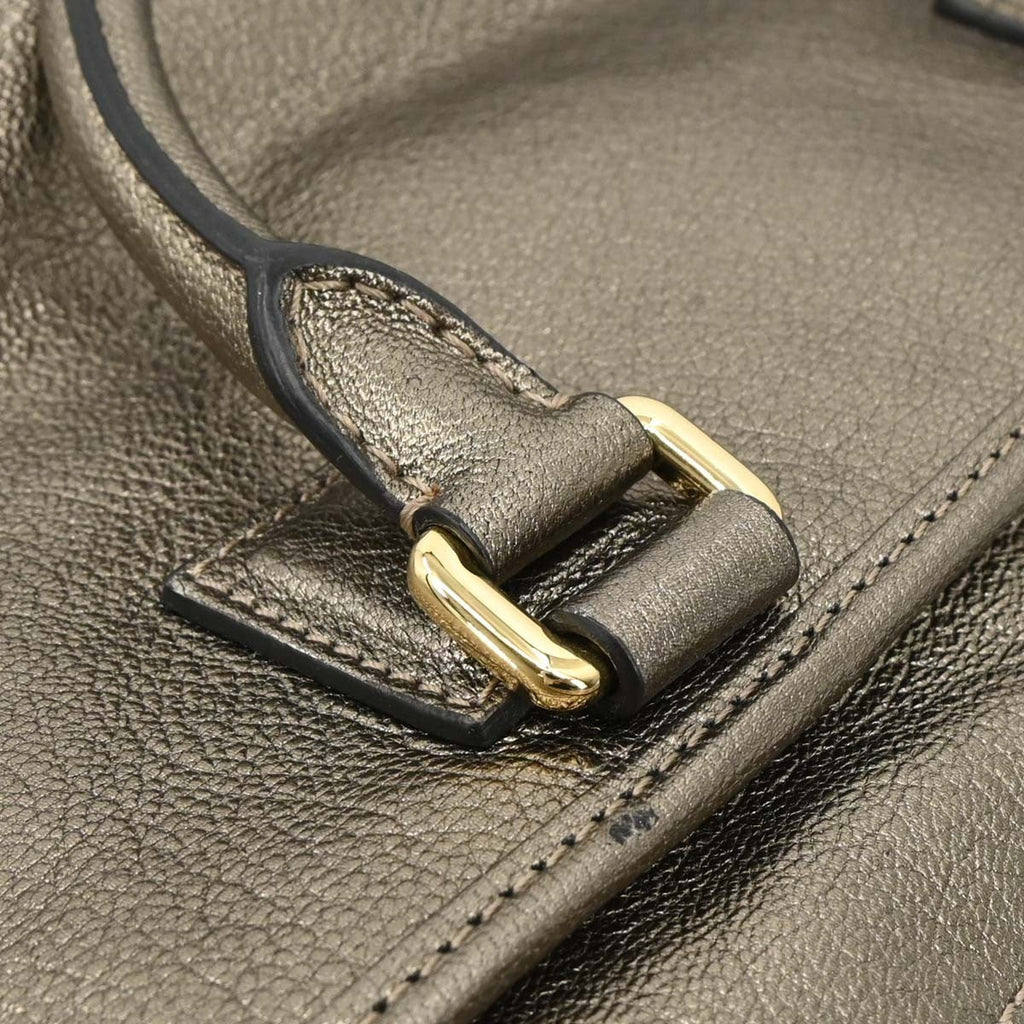 Loewe Amazona Bag Leather Gold Leather Handbag (Pre-Owned)